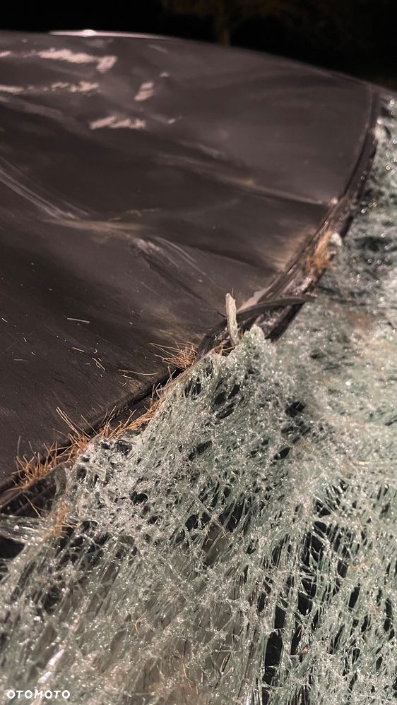 Toyota Corolla Verso 2.0 D-4D Sol 7os - 5