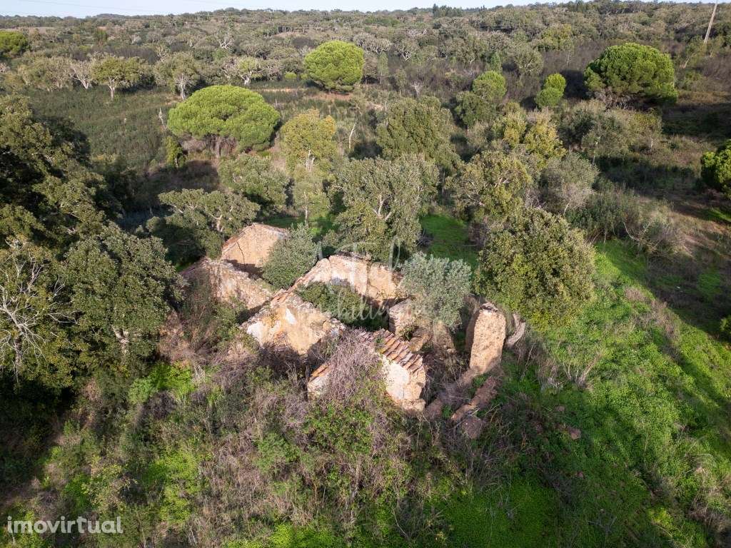 Terreno 8,9h em Santa Cruz - Grande imagem: 5/6