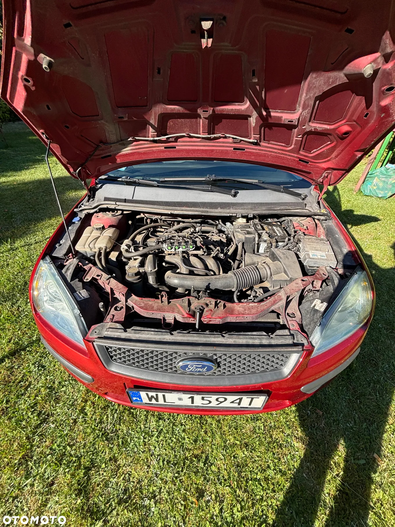 Ford Focus - 13