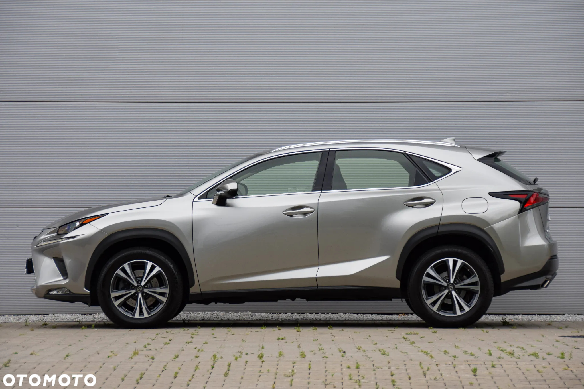 Lexus NX 300 Elegance Optimum AWD - 7