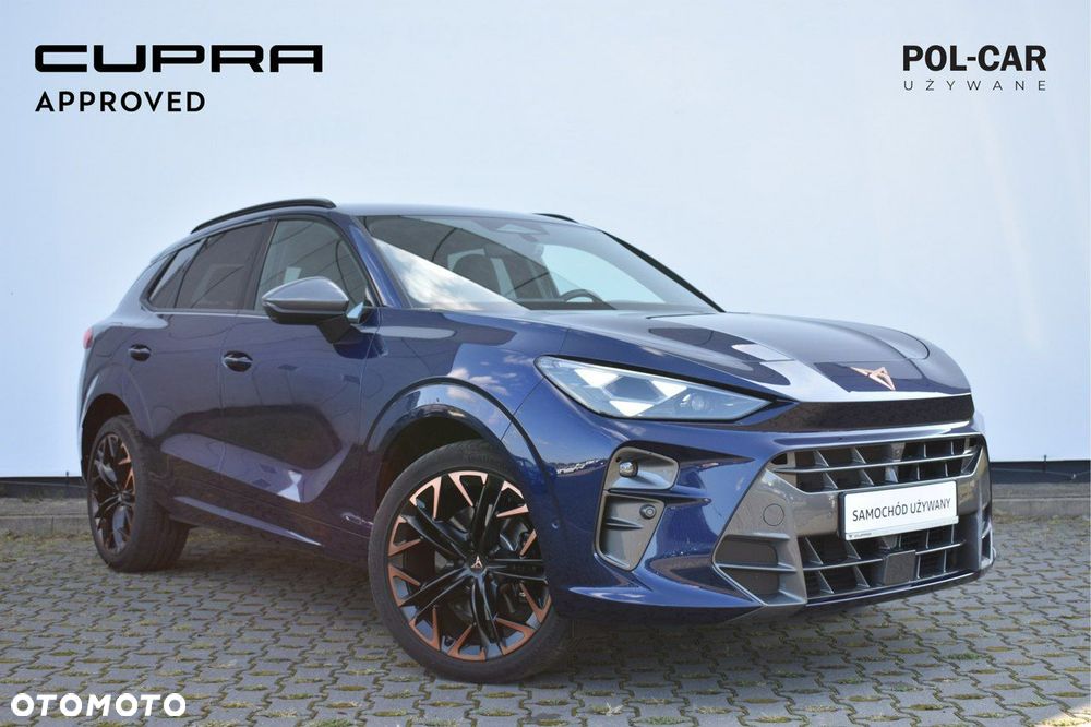 Cupra Terramar - 10