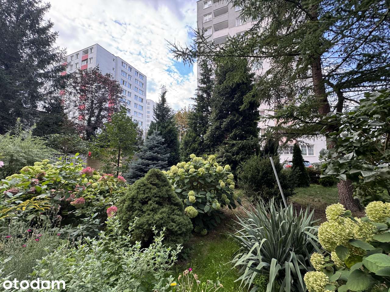 2 pokoje, 37,9 m², 280 m od metra Wierzbno