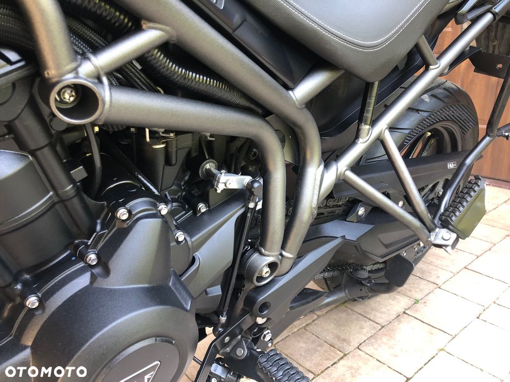 Triumph Tiger - 18