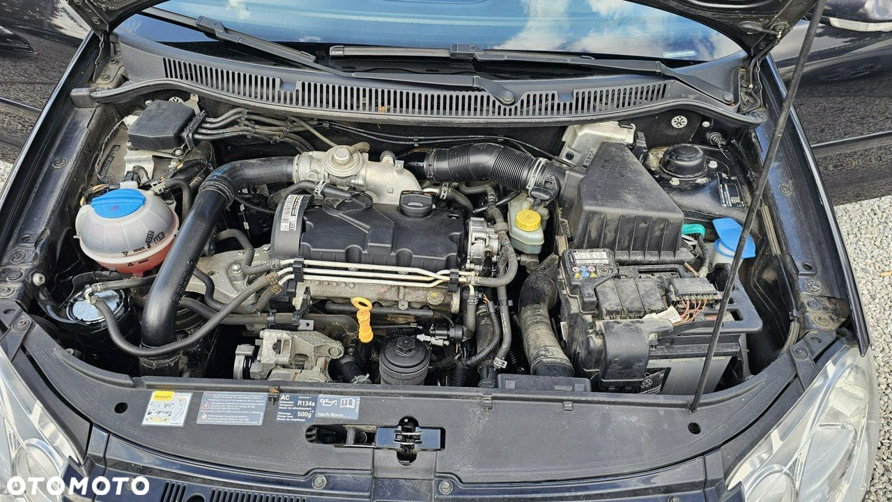 Volkswagen Polo - 15