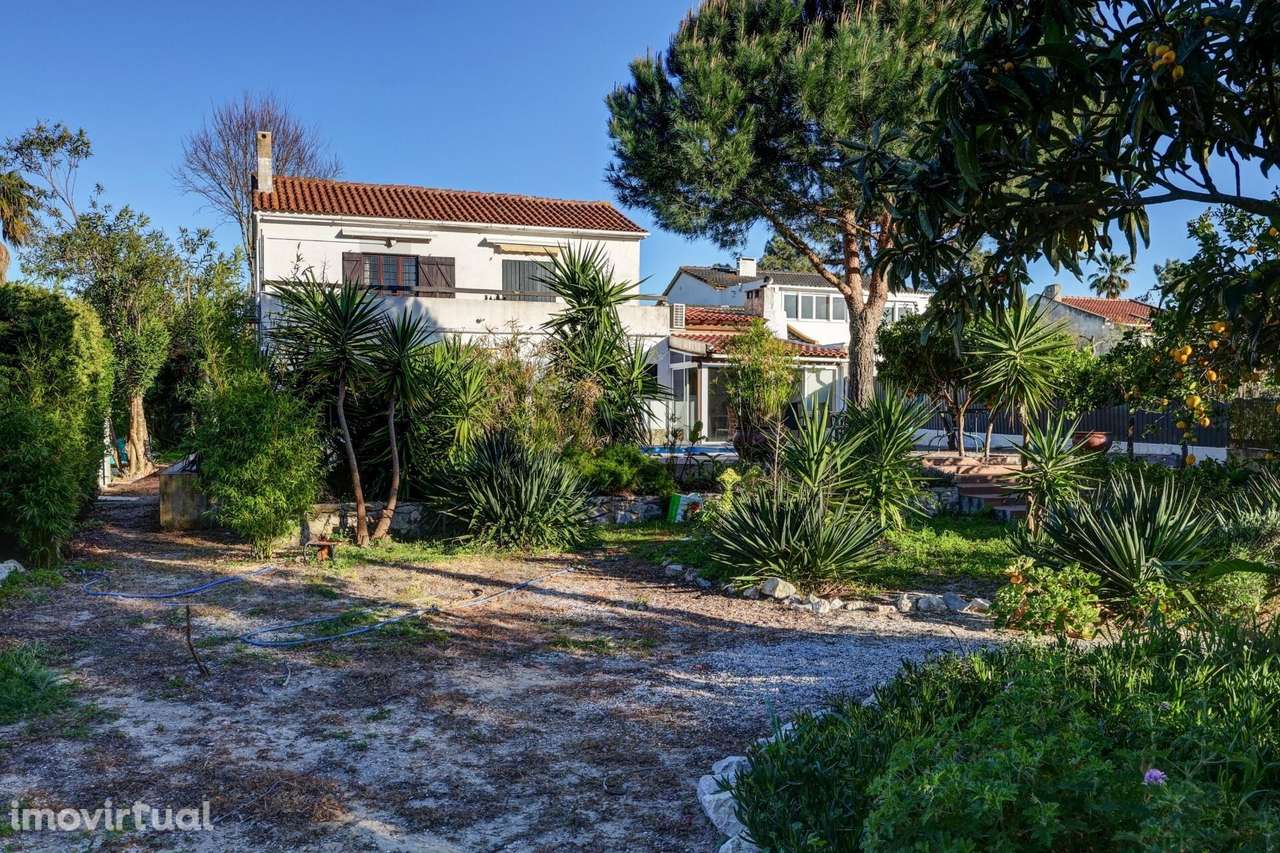 Quintinha com Moradia T4 e Piscina em Sesimbra - Grande imagem: 5/57