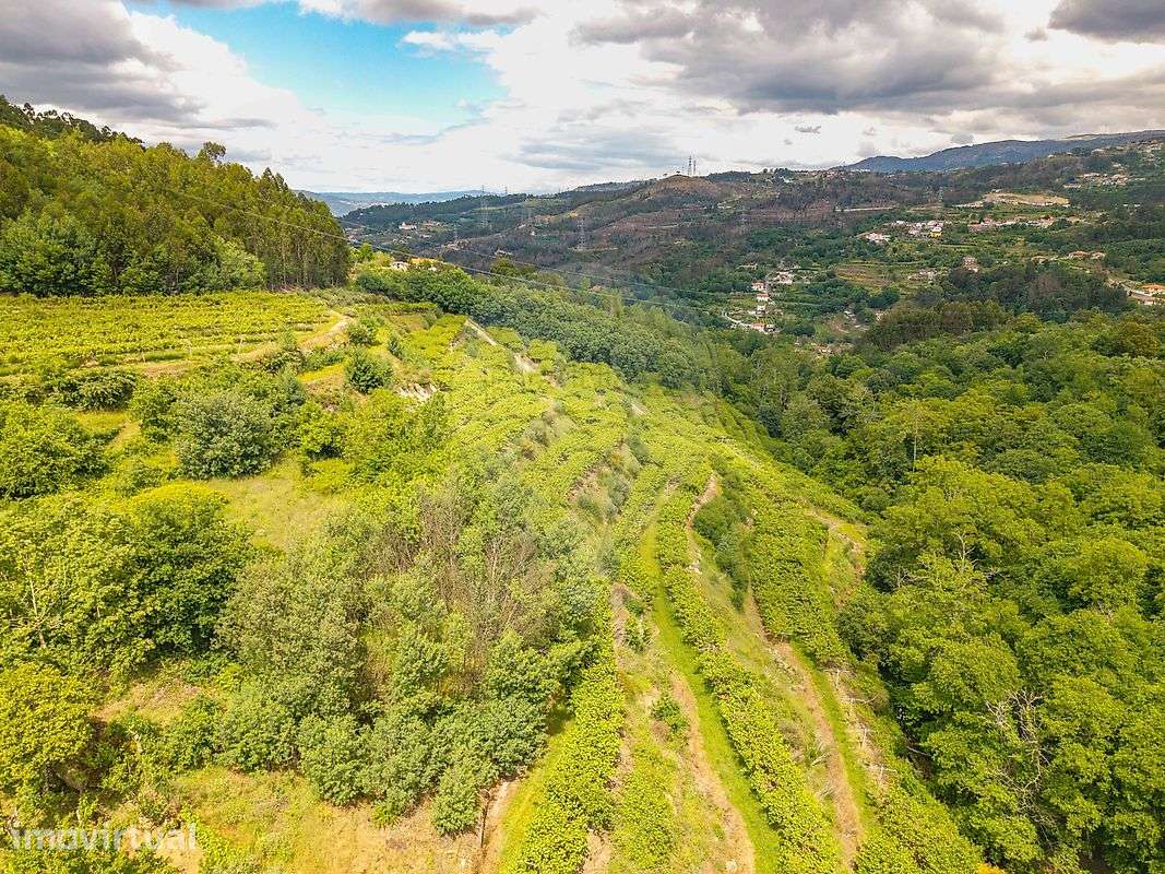 Terreno  para venda - Grande imagem: 5/16