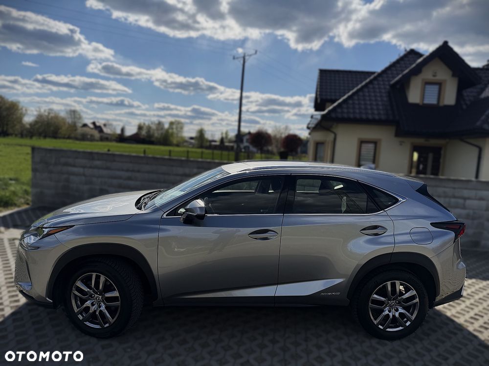 Lexus NX 300h Business Edition AWD - 8