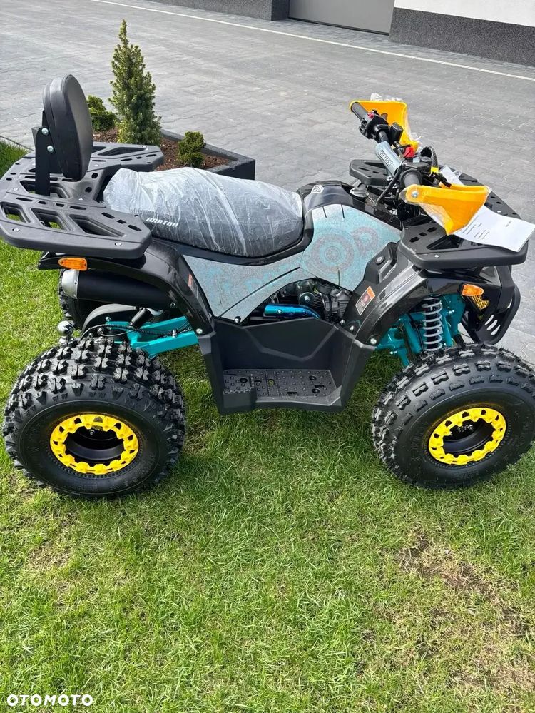 Barton Raptor