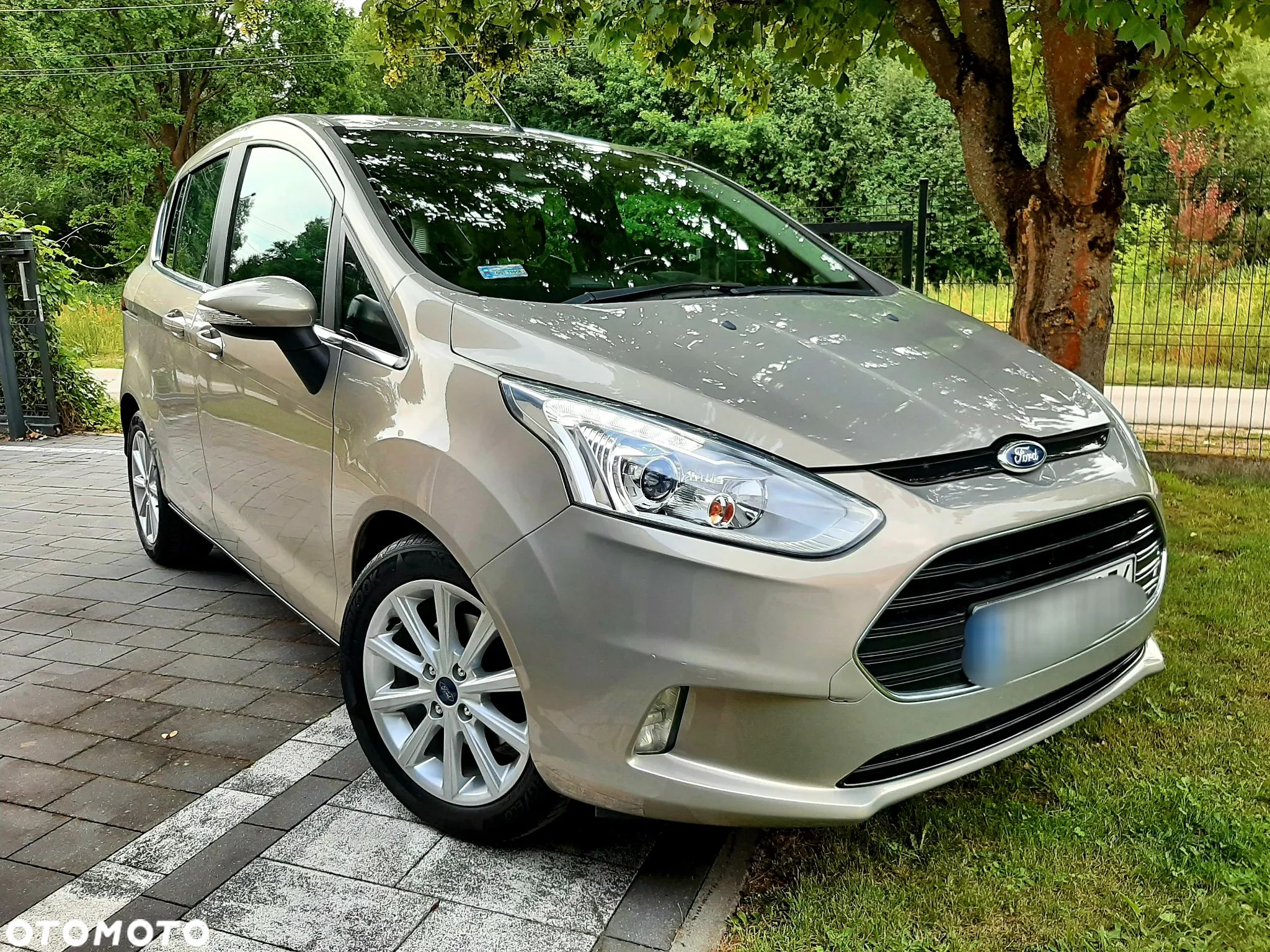 Ford B-MAX - 1