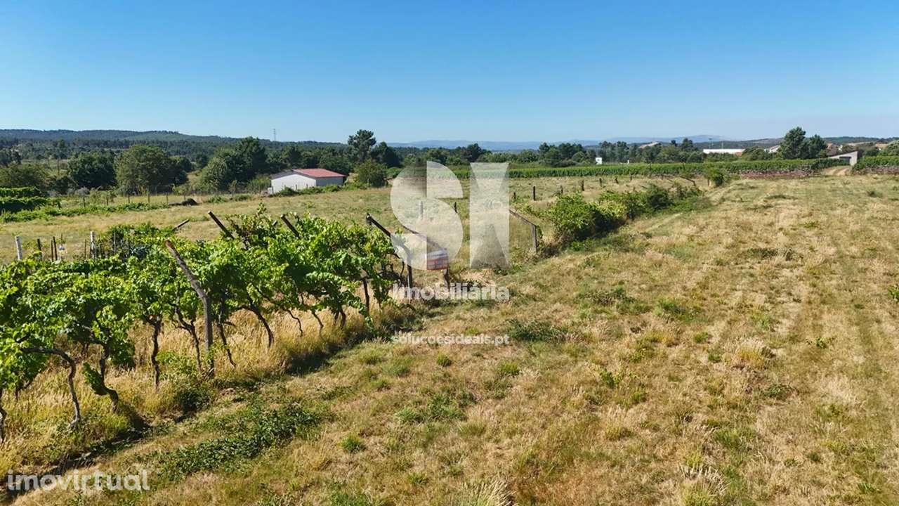 Terreno em Sabrosa - Grande imagem: 3/22