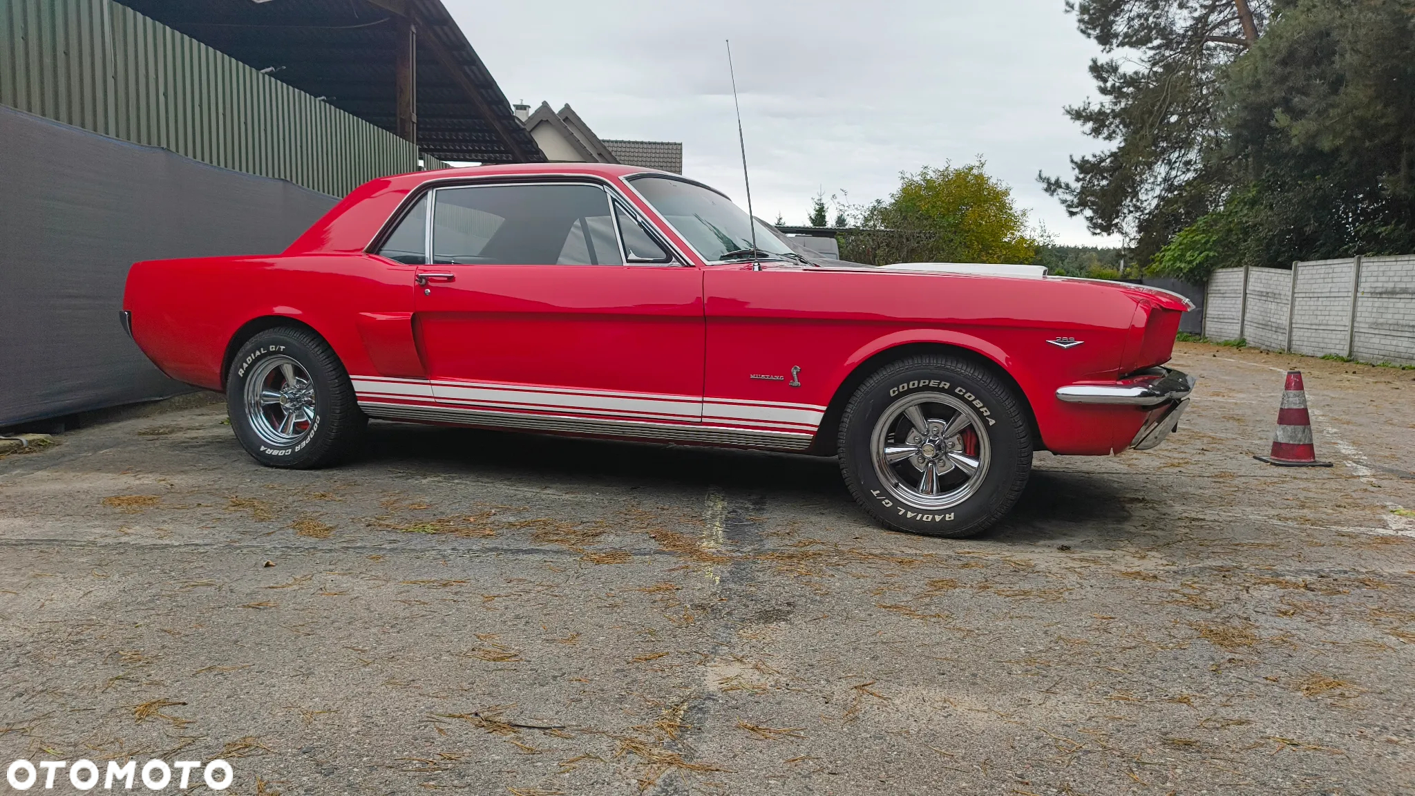 Ford Mustang - 11