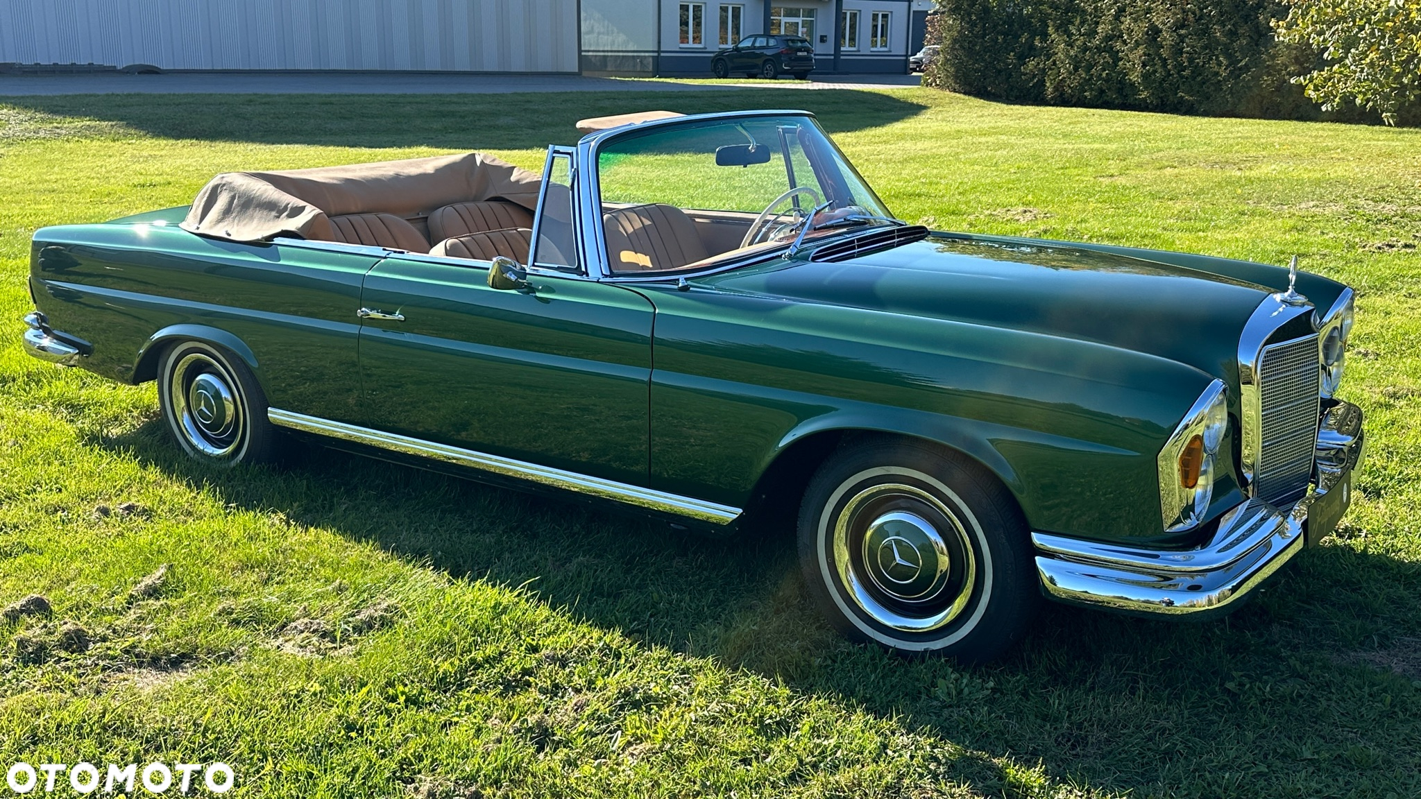 Mercedes-Benz Inny - 7
