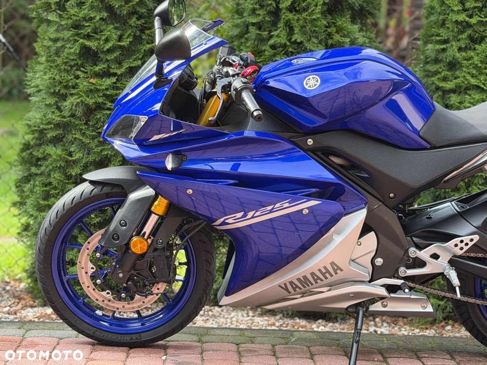 Yamaha YZF - 19