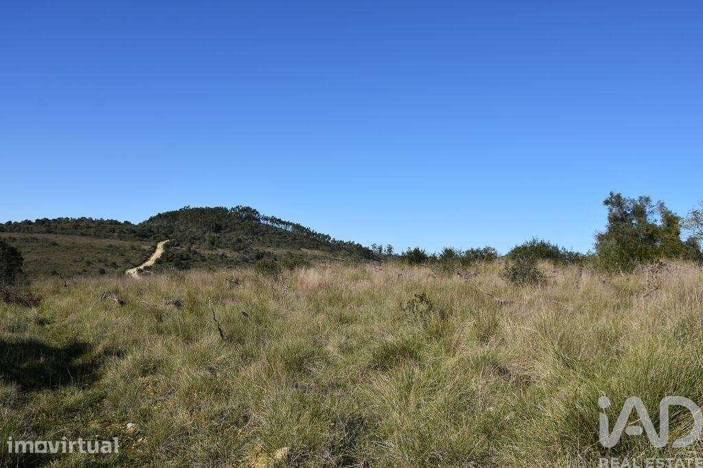 Terreno em Chãos de 9160,00 m2 - Grande imagem: 4/30