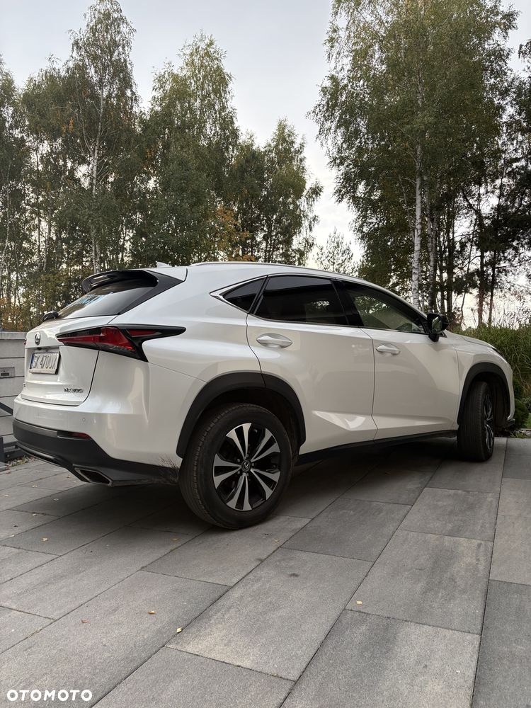 Lexus Nx 2021 photo 2