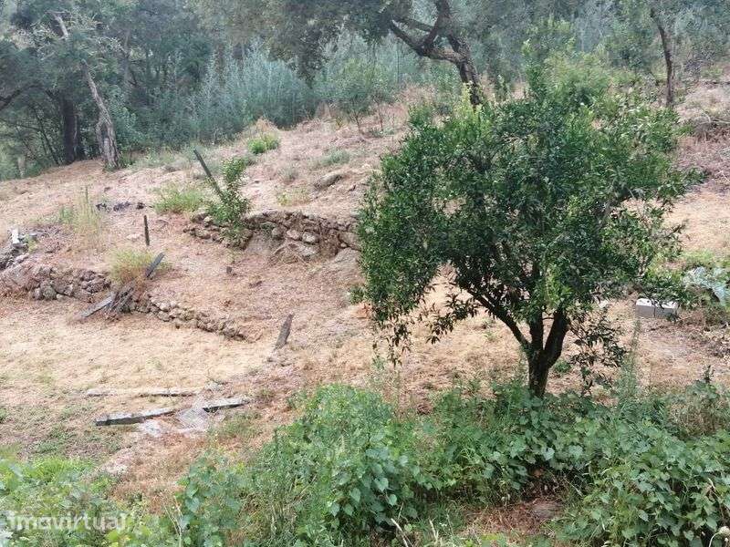 Terreno em santa marinha do zezere - Grande imagem: 5/9