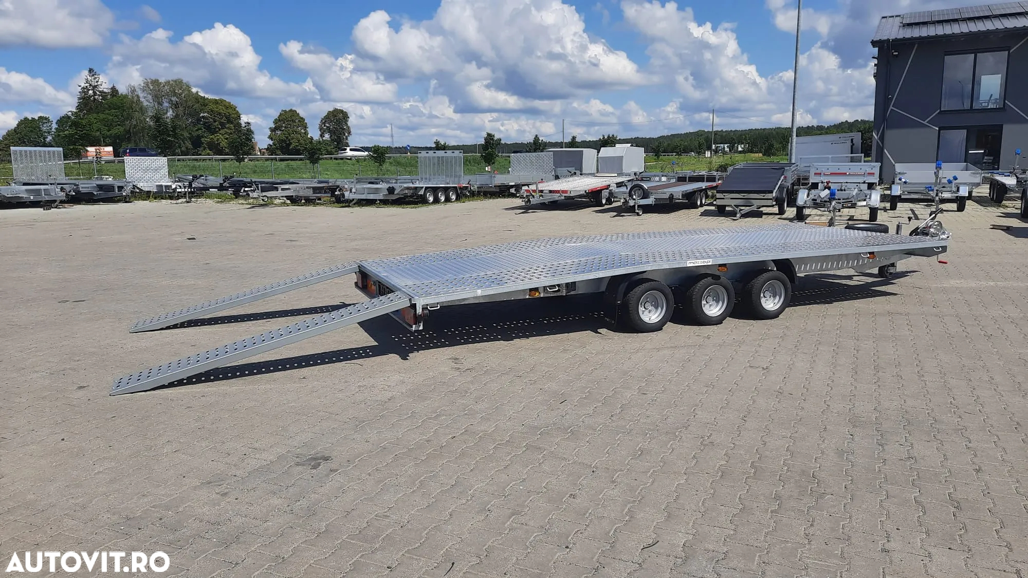 Niewiadow Boro Jupiter 5m - 6