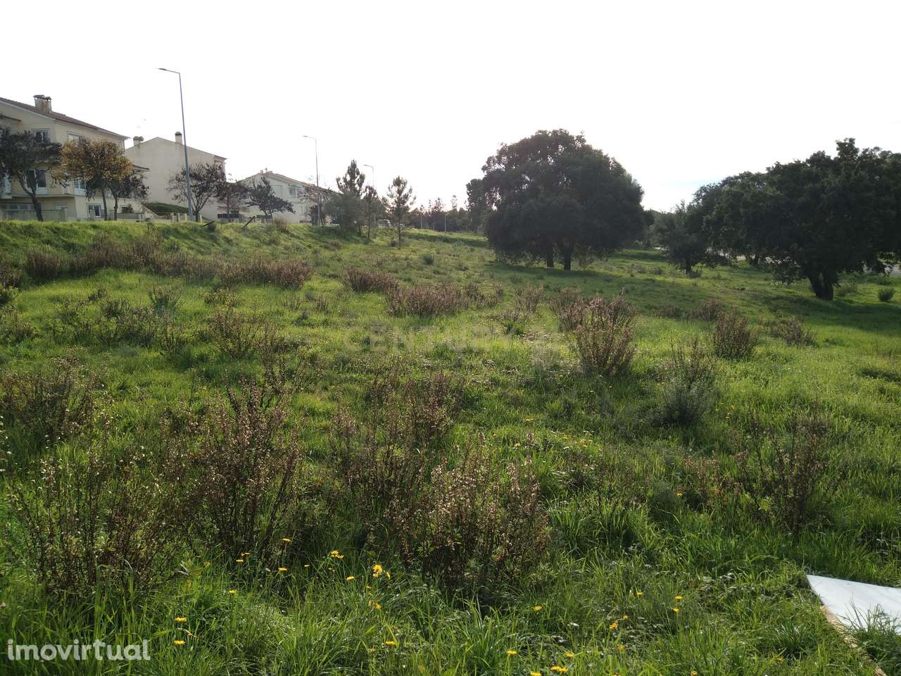 Lote para Moradia - Casal Vidigal - Entroncamento - Grande imagem: 2/6