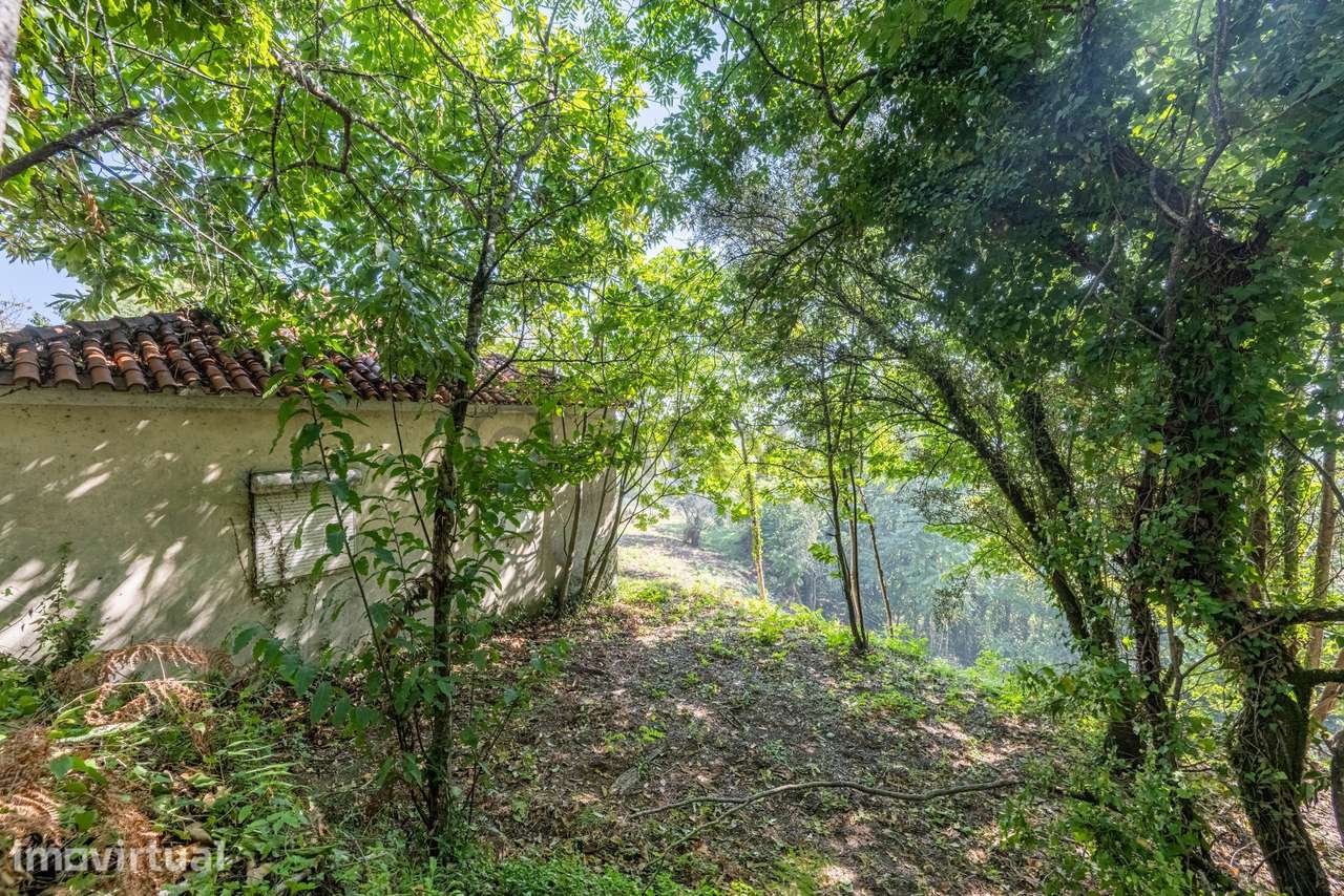 Terreno com Ruína em Prozelo, Arcos de Valdevez - Grande imagem: 4/27