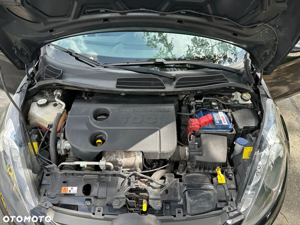 Ford Fiesta - 31