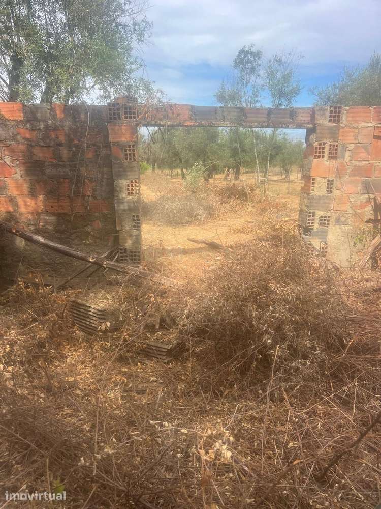Oportunidade Única: Terreno em Almofala, Figueiró dos Vinhos - Grande imagem: 4/5
