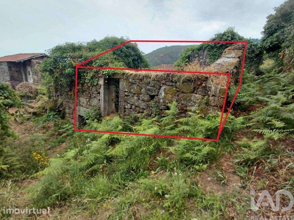 Terreno Agrícola em Chaviães e Paços - Grande imagem: 3/10
