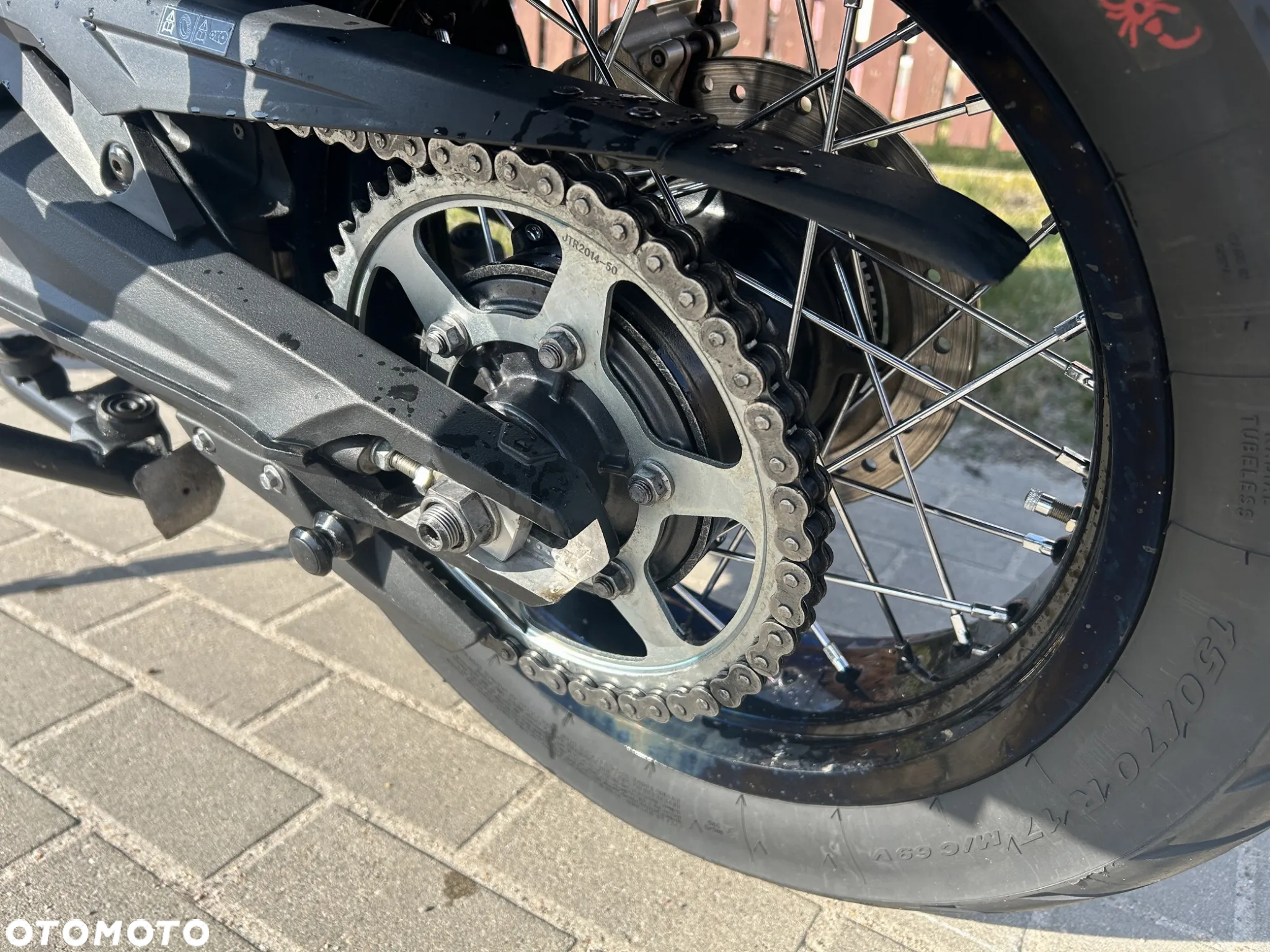 Triumph Tiger - 14