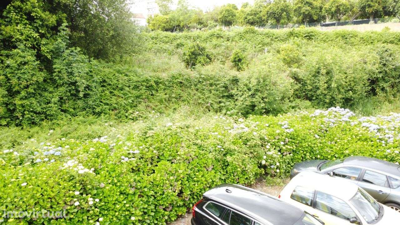 Terreno – Sever do Vouga - Grande imagem: 3/18