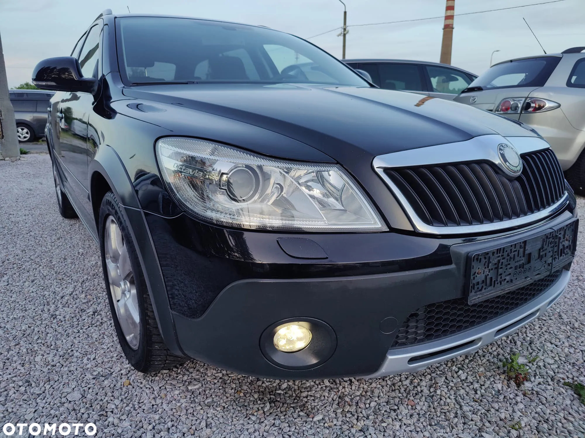 Skoda Octavia - 2