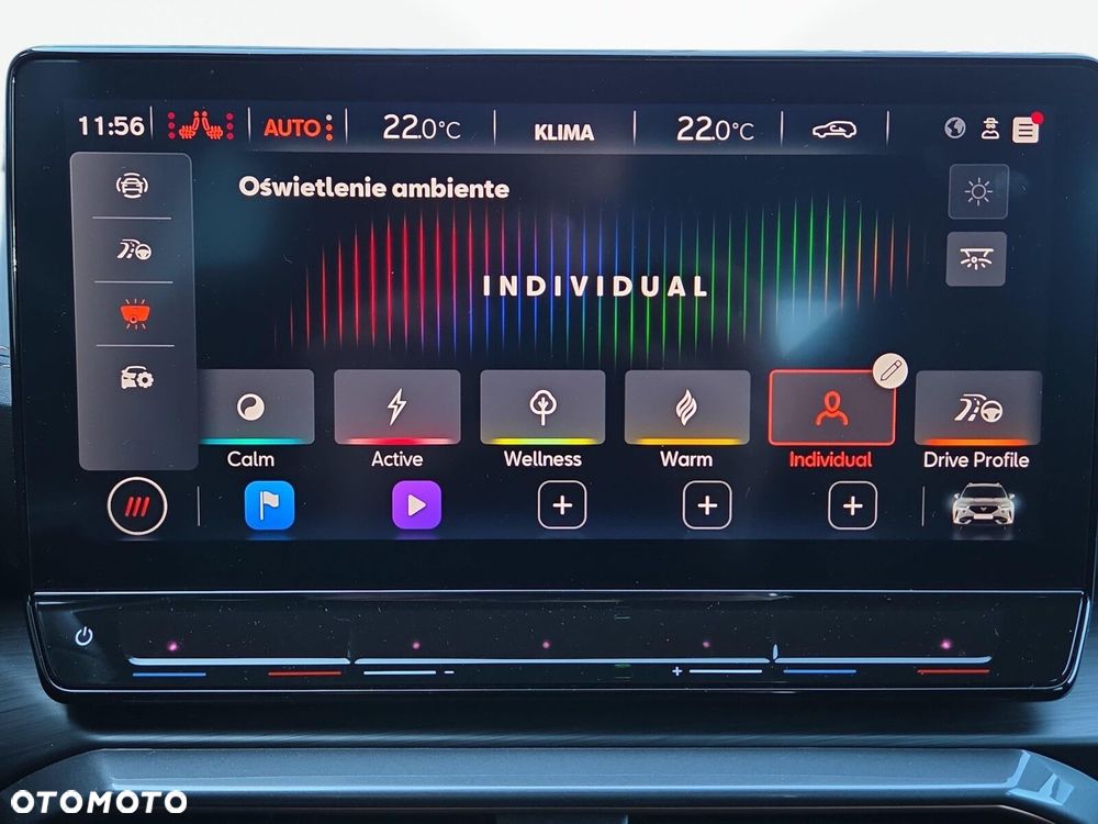 Cupra Formentor 2.0 TSI 4Drive VZ DSG - 23