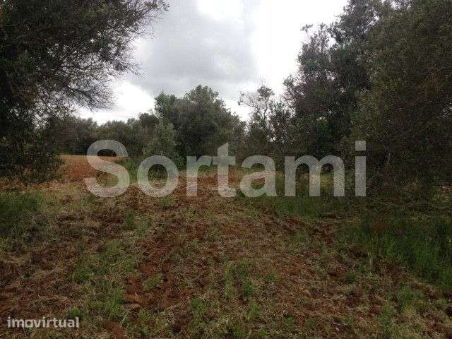 Terreno Rústico  Venda em Ferreiras,Albufeira - Grande imagem: 2/3