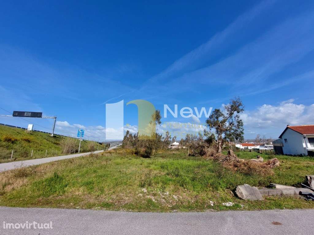 Venda Conjunta de 2 TERRENOS em Amor - Leiria. - Grande imagem: 2/5