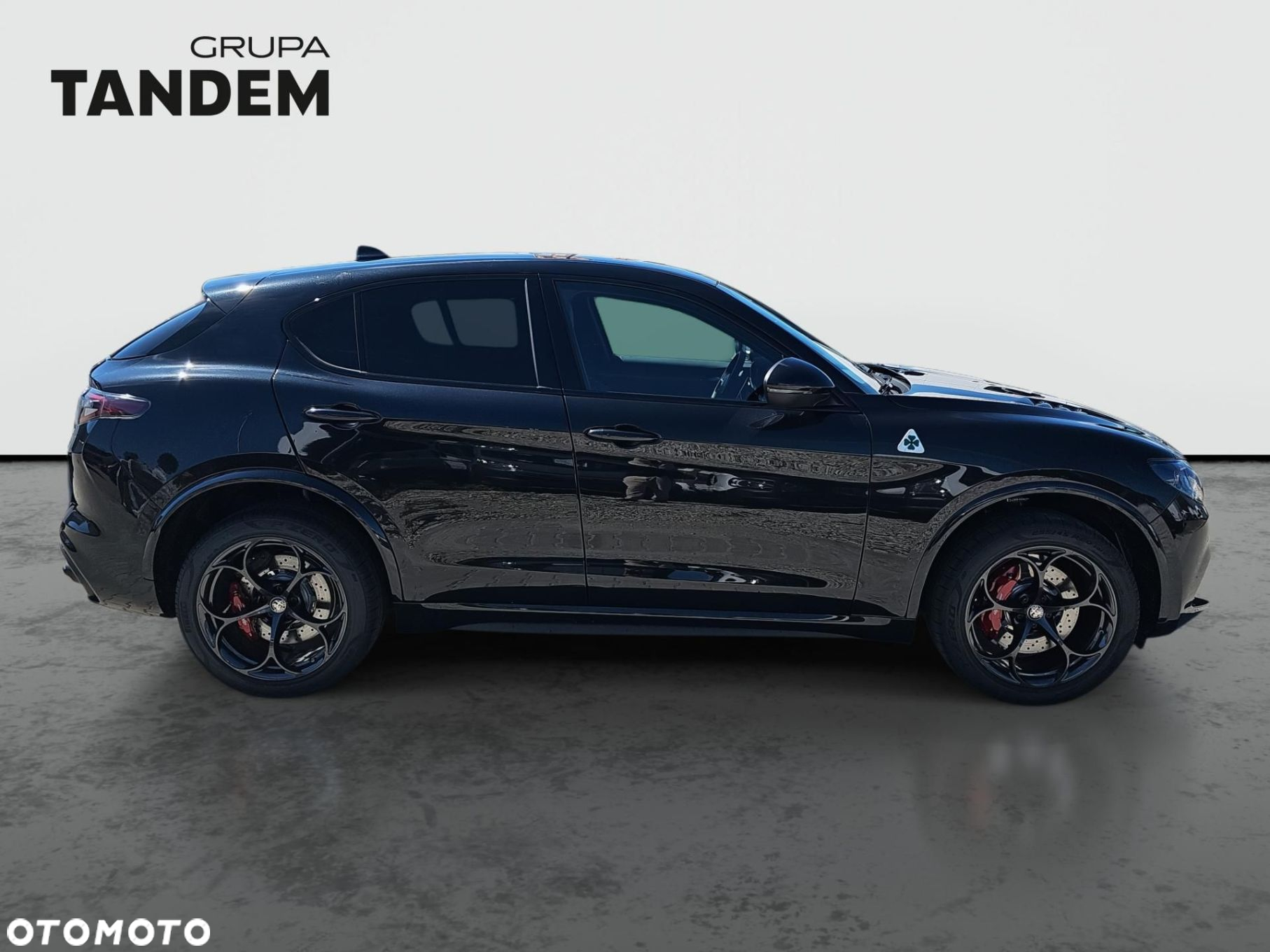 Alfa Romeo Stelvio 2.9 Bi Turbo V6 Quadrifoglio Q4 - 4