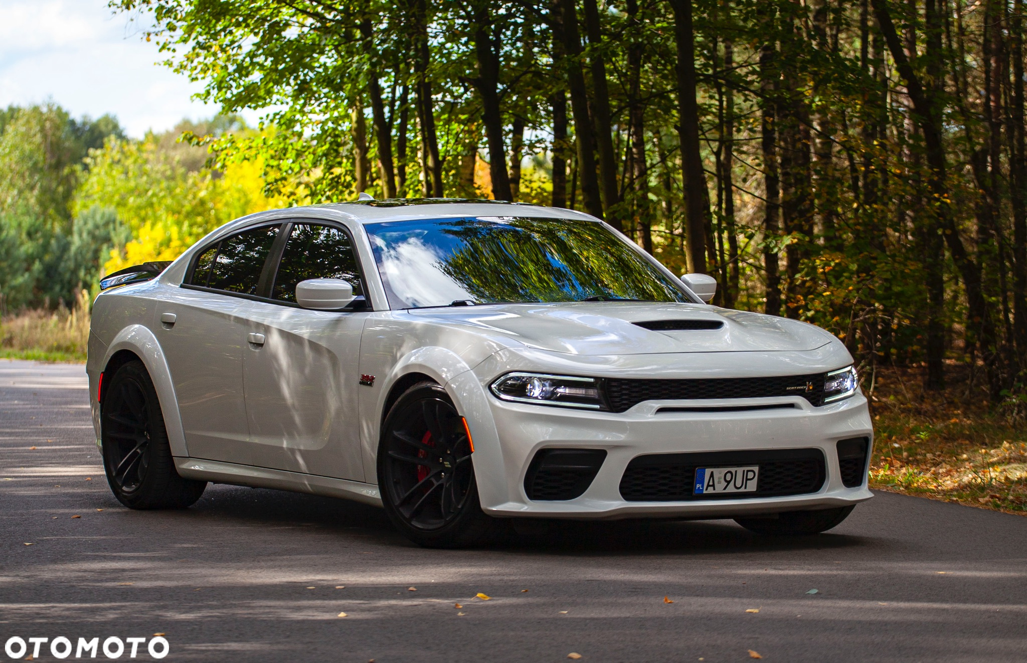 Dodge Charger 6.4 Scat Pack Widebody - 8