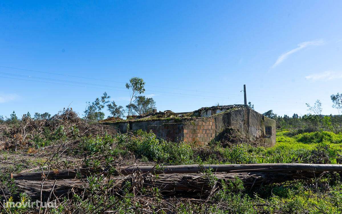 Quintinha com grande ruína para recuperar - Grande imagem: 2/18