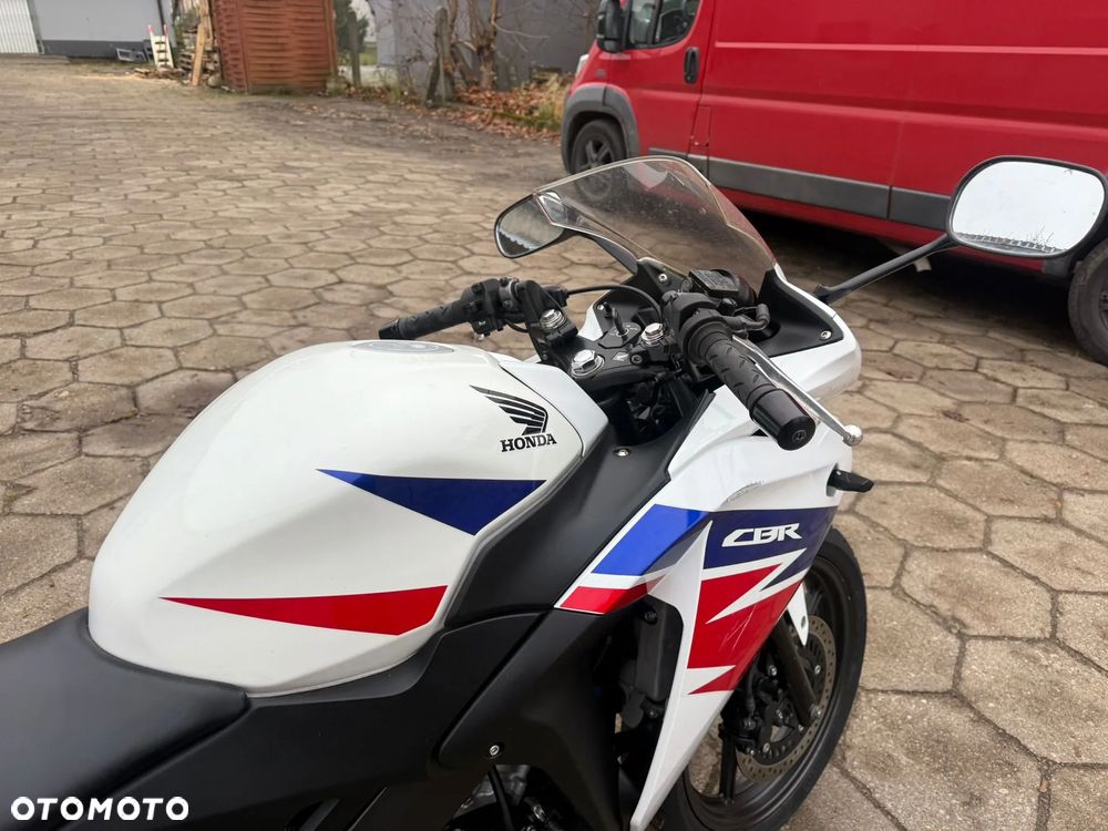 Honda CBR - 31