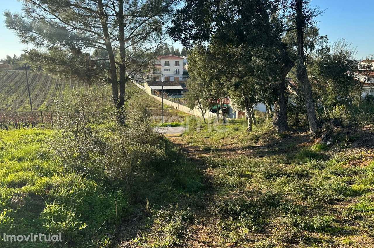 Terreno Urbano em Aguim com 2650m2 - Grande imagem: 5/20