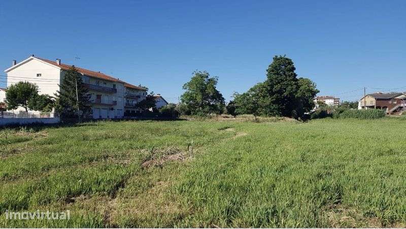 Terreno 3650m2 em Condeixa-a-Nova - Grande imagem: 4/6