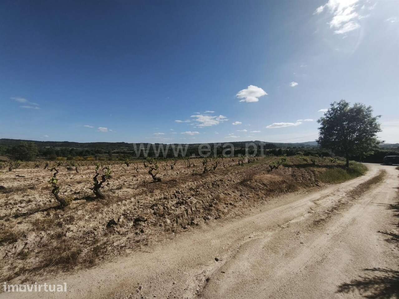 Terreno Rústico / Belmonte, Caria - Grande imagem: 2/5