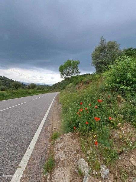 Venda de terreno com 2 600 m2 em Babe - Bragança - Grande imagem: 2/10