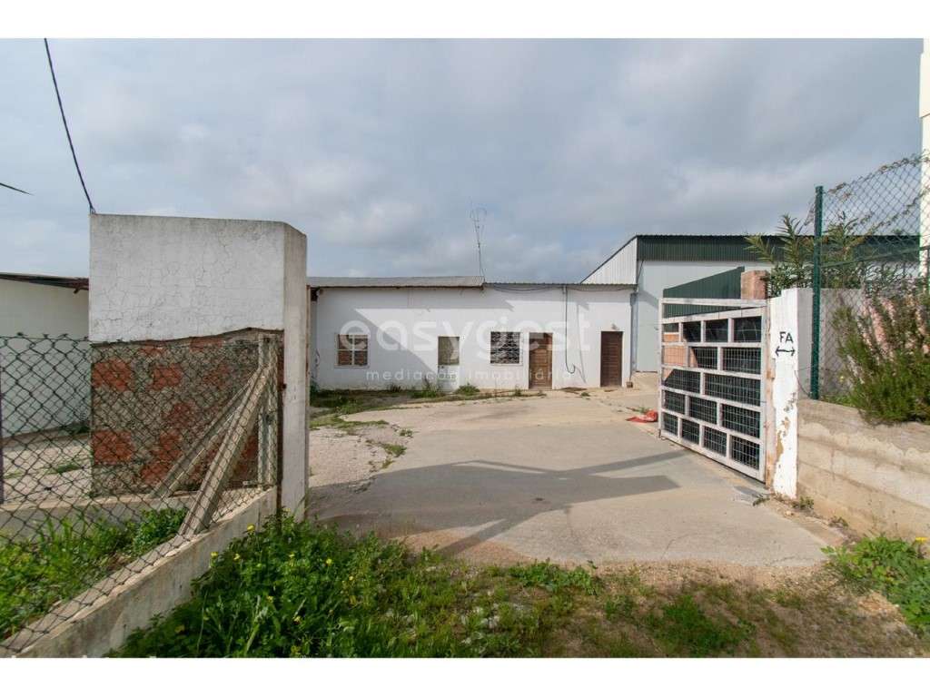 Armazém com 854 m2 em terreno de 1586 m2 em Fundo - Amaro Gonçalves - Grande imagem: 2/13