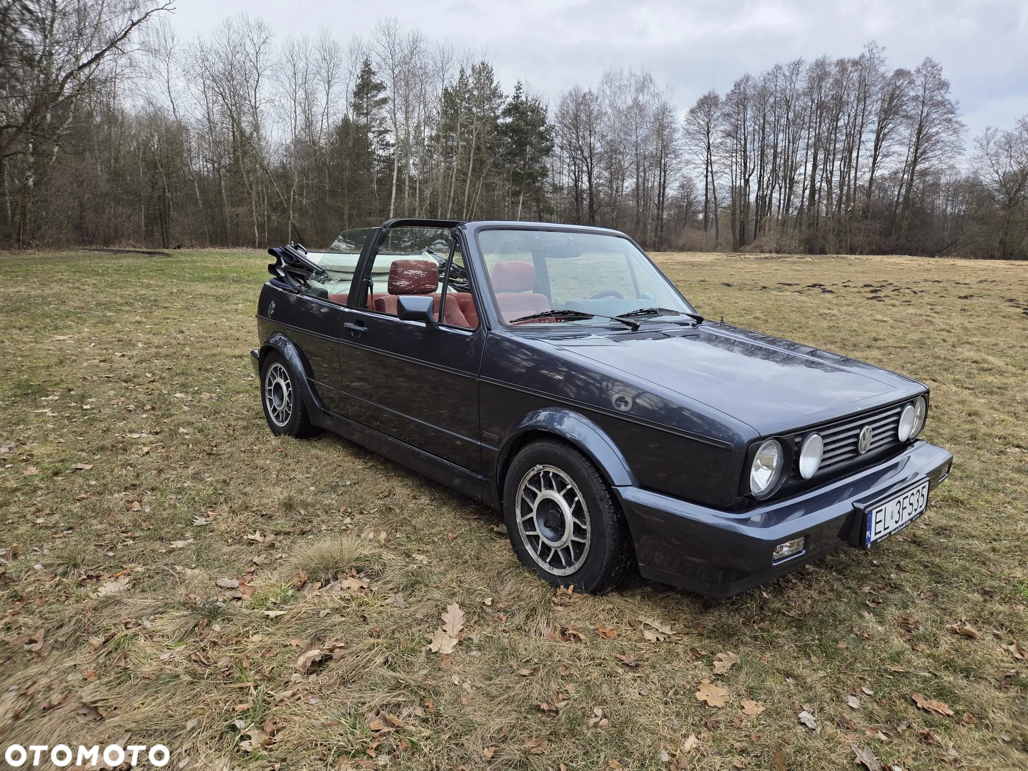 Volkswagen Golf - 9