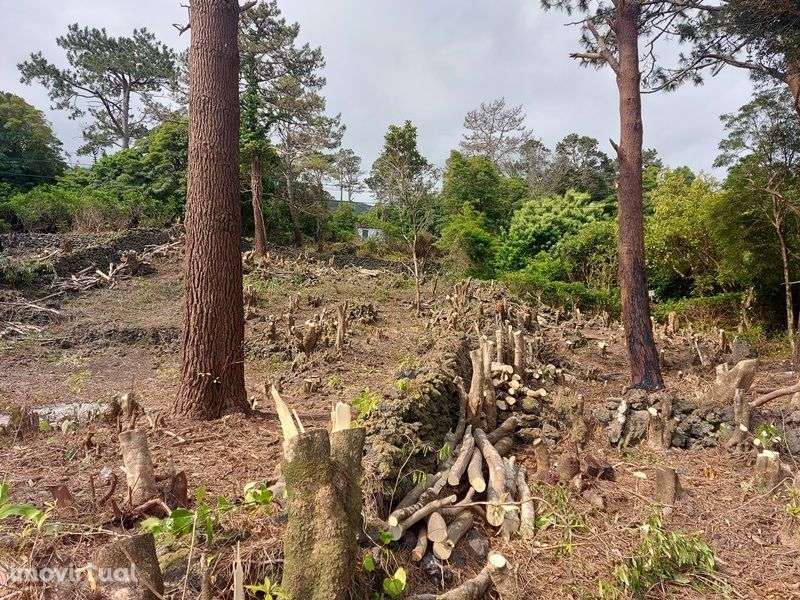 Terreno fabuloso na Prainha de cima- azores - Grande imagem: 2/20