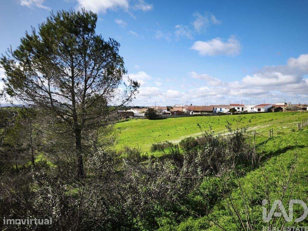Terreno Agrícola em São Miguel do Pinheiro, São Pedro de Solis e São S - Grande imagem: 3/40
