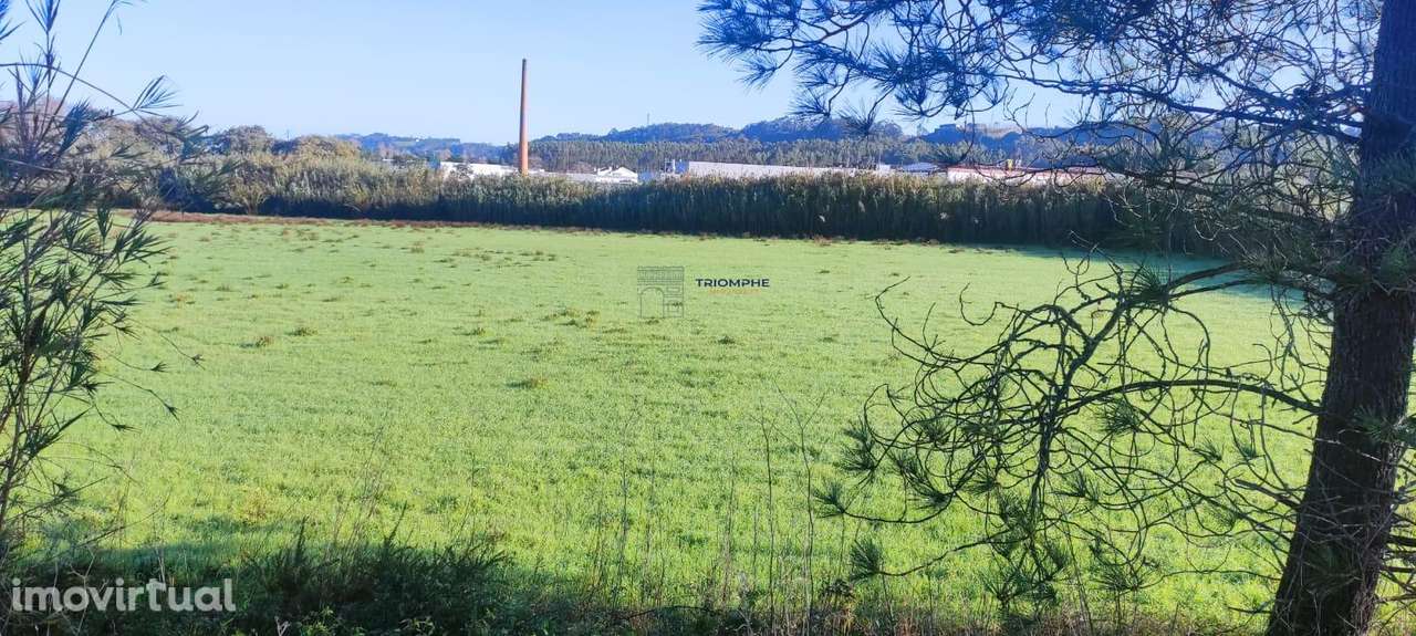 Terreno 16947m2 Lavradio, Caldas da Rainha - Grande imagem: 2/4
