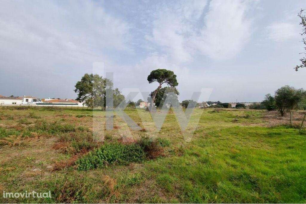 Venda Terreno 9.500m2 urbanizável para duas moradias - Excelente oport - Grande imagem: 2/17