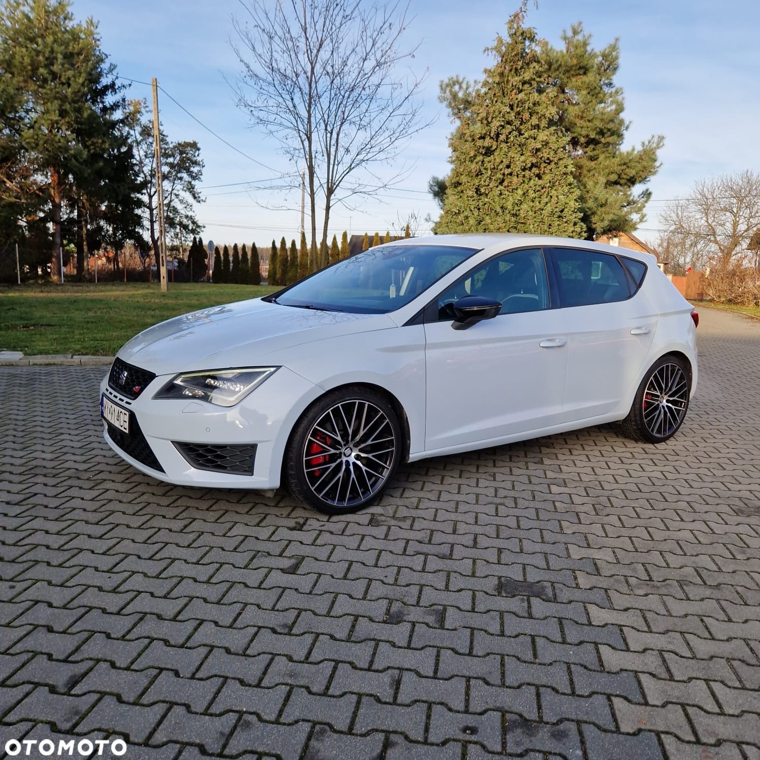 Seat Leon 2.0 TSI Cupra 290 S&S - 5