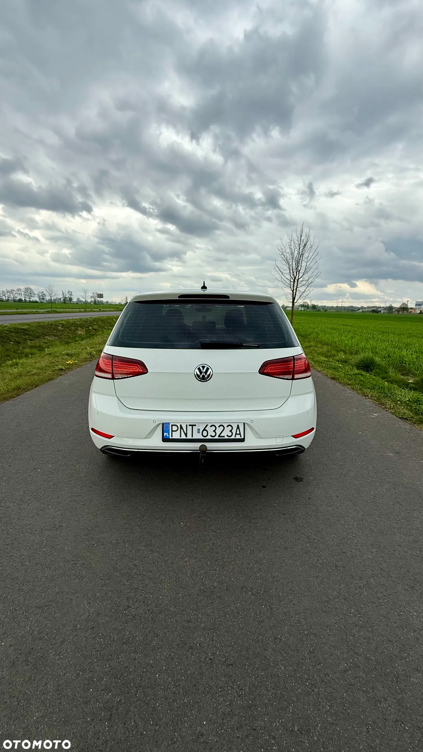 Volkswagen Golf - 6