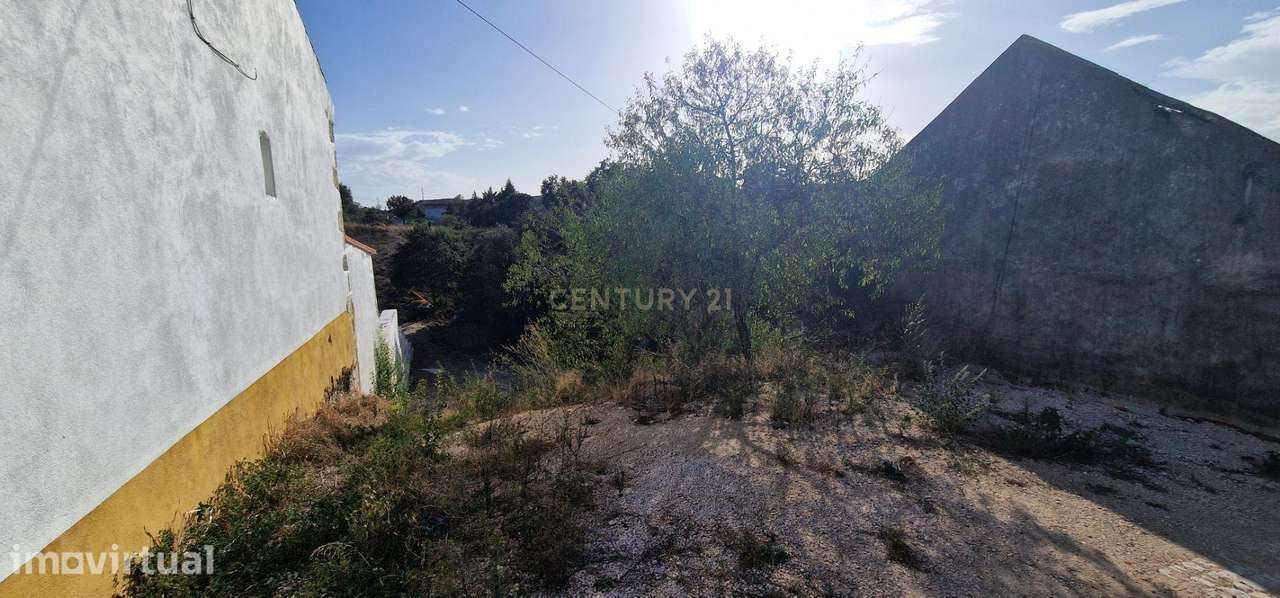Terreno para construção em Pé de Cão - Torres Novas - Grande imagem: 2/2