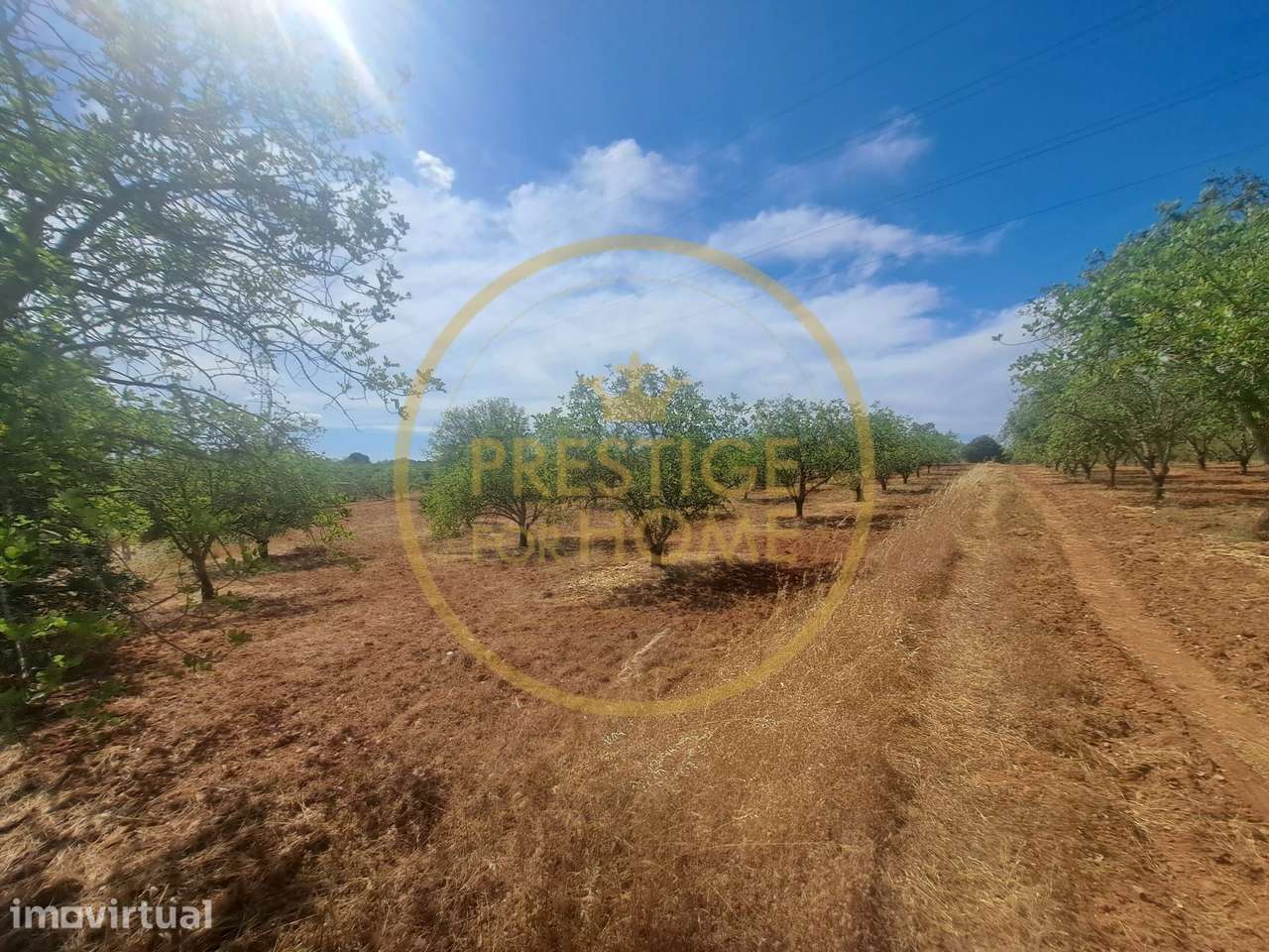 Terreno, 10 892 m², Paderne - Grande imagem: 4/15